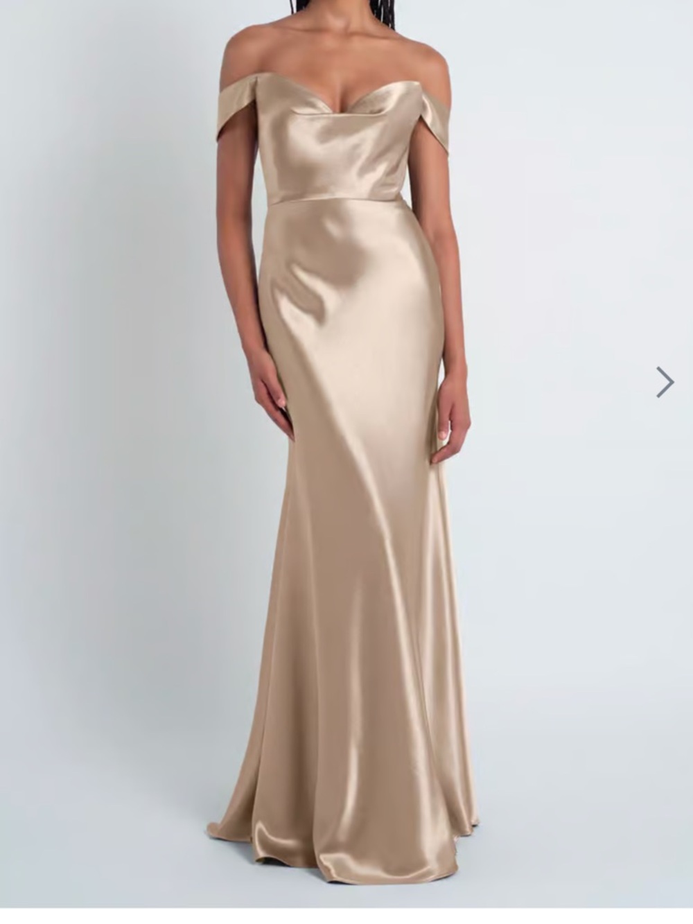 Jenny Yoo Camilla Gown in Pale Gold